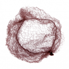 Сеточка DEWAL для прически, темно-коричневая 2 шт/уп