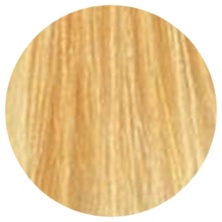 Goldwell Topchic 10G (Золотистый блондин)