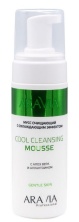 Мусс очищающий с охлаждающим эффектом, с алоэ вера и аллантоином ARAVIA Professional Cool Cleansing Mousse 160 мл