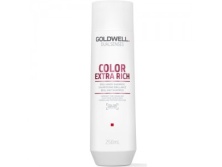 Интенсивный шампунь для блеска окрашенных волос Goldwell Dualsenses Color Extra Rich Brilliance Shampoo 250 мл